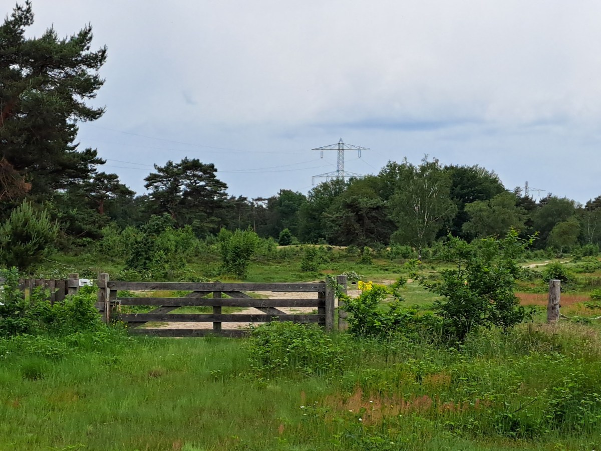 Op zoek naar de&nbsp;bronsschat