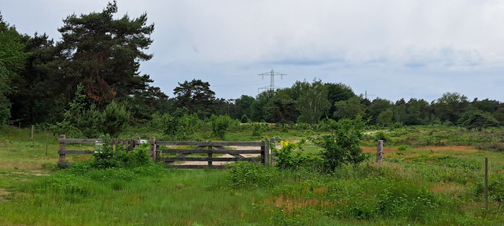 Op zoek naar de&nbsp;bronsschat