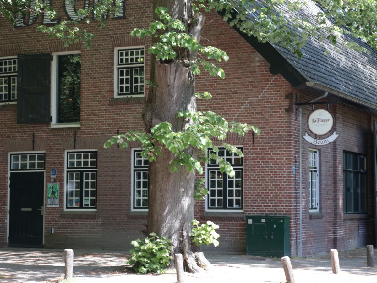 Wandeling boswachterij Dorst
