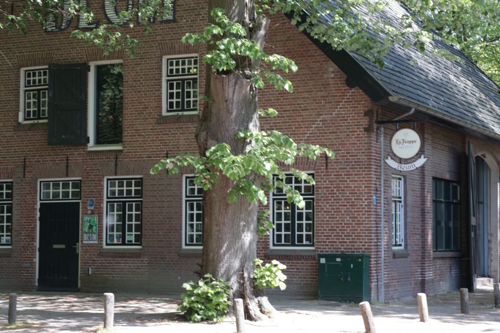 Wandeling boswachterij Dorst